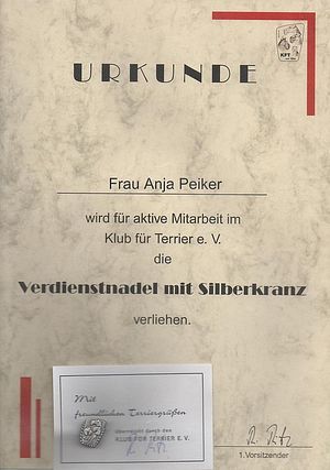 KfT - Verdienstnadel mit Silberkranz