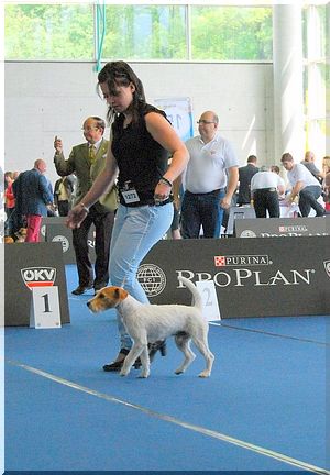 Billys Sohn  "Idefix v. der Russellbande"