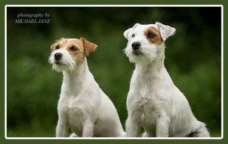 Gemeinsam sind wir stark! ;-)