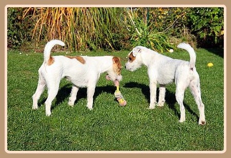 Schwestern "Feodora" und "Illusion"